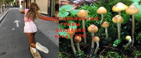 амф Балахна
