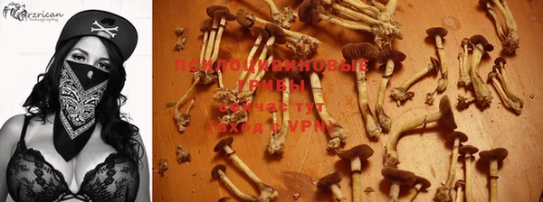 герыч Аркадак
