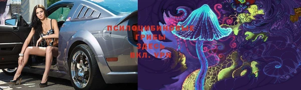 амф Балахна